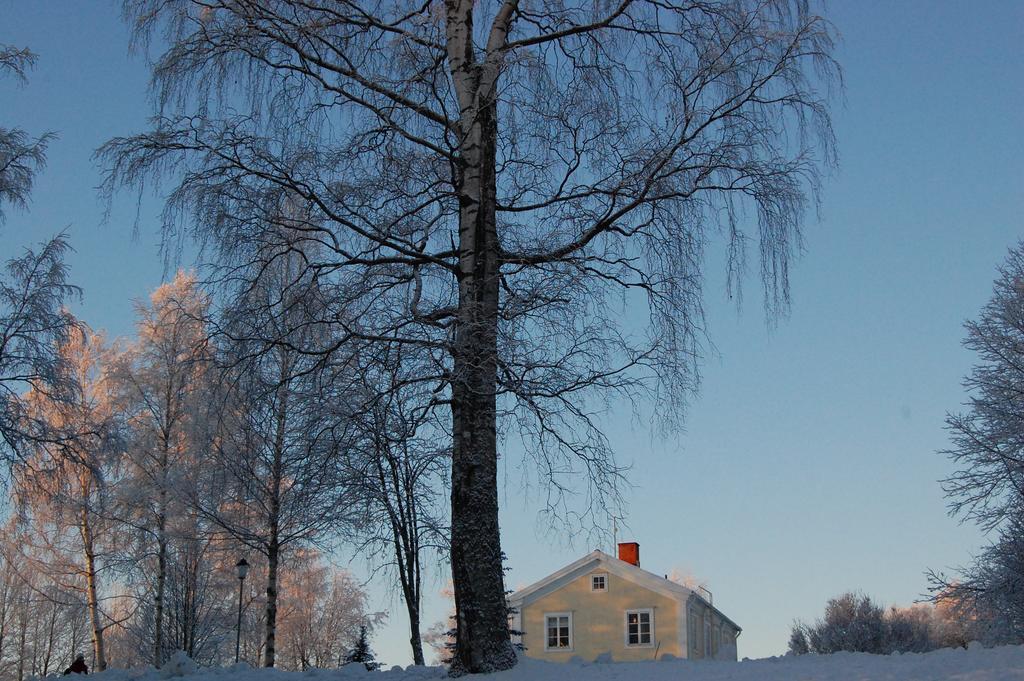 Brunnsgarden Bed & Breakfast Skellefteå Extérieur photo